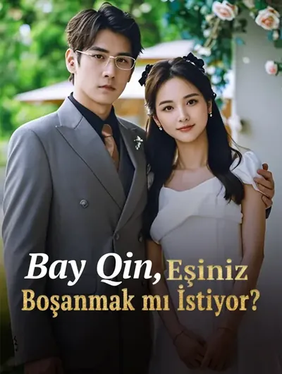 Bay Qin, Eşiniz Boşanmak mı İstiyor?(Dublajlı)