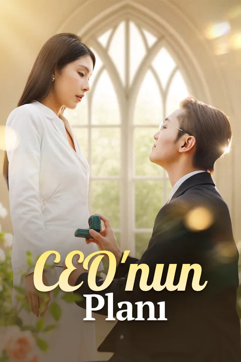 CEO'nun Planı