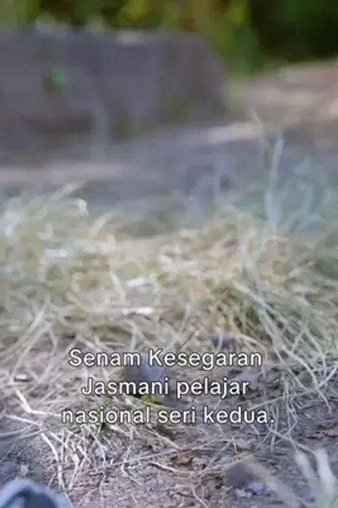 Dövüş ustasının intikamı
