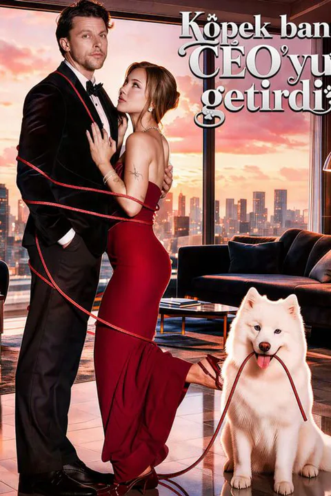 Köpek bana CEO'yu getirdi