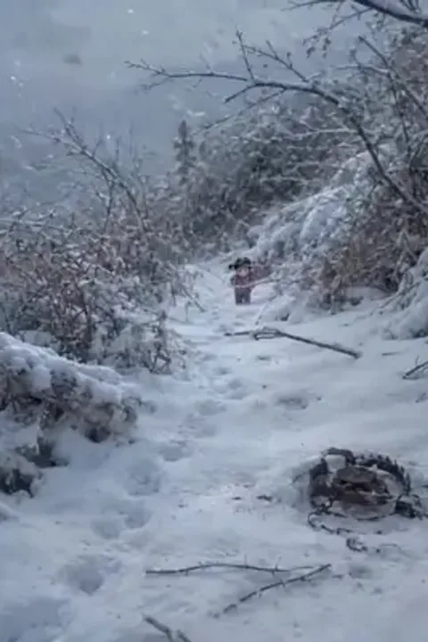 Korkma, çok para kazanırız