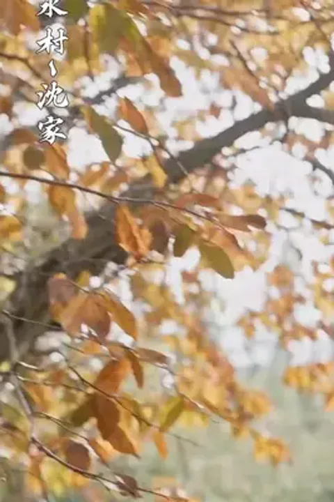 Köy gelini aileyi zengin eder