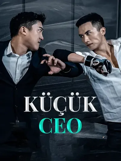 Küçük CEO