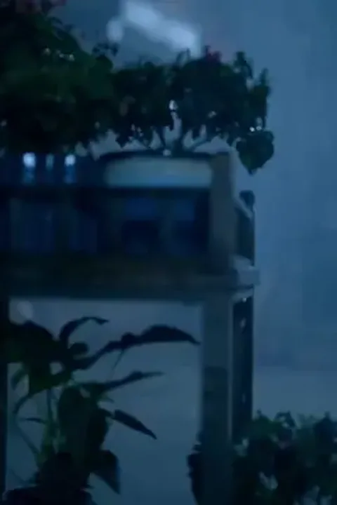 Milyarder'in şanslı yıldızı
