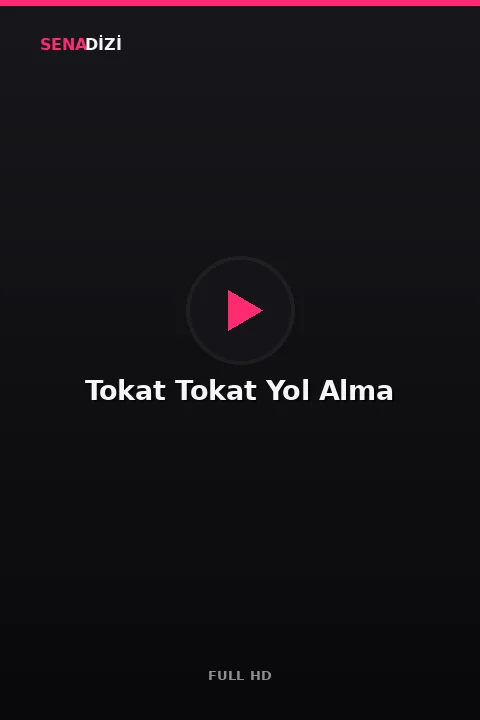 Tokat Tokat Yol Alma